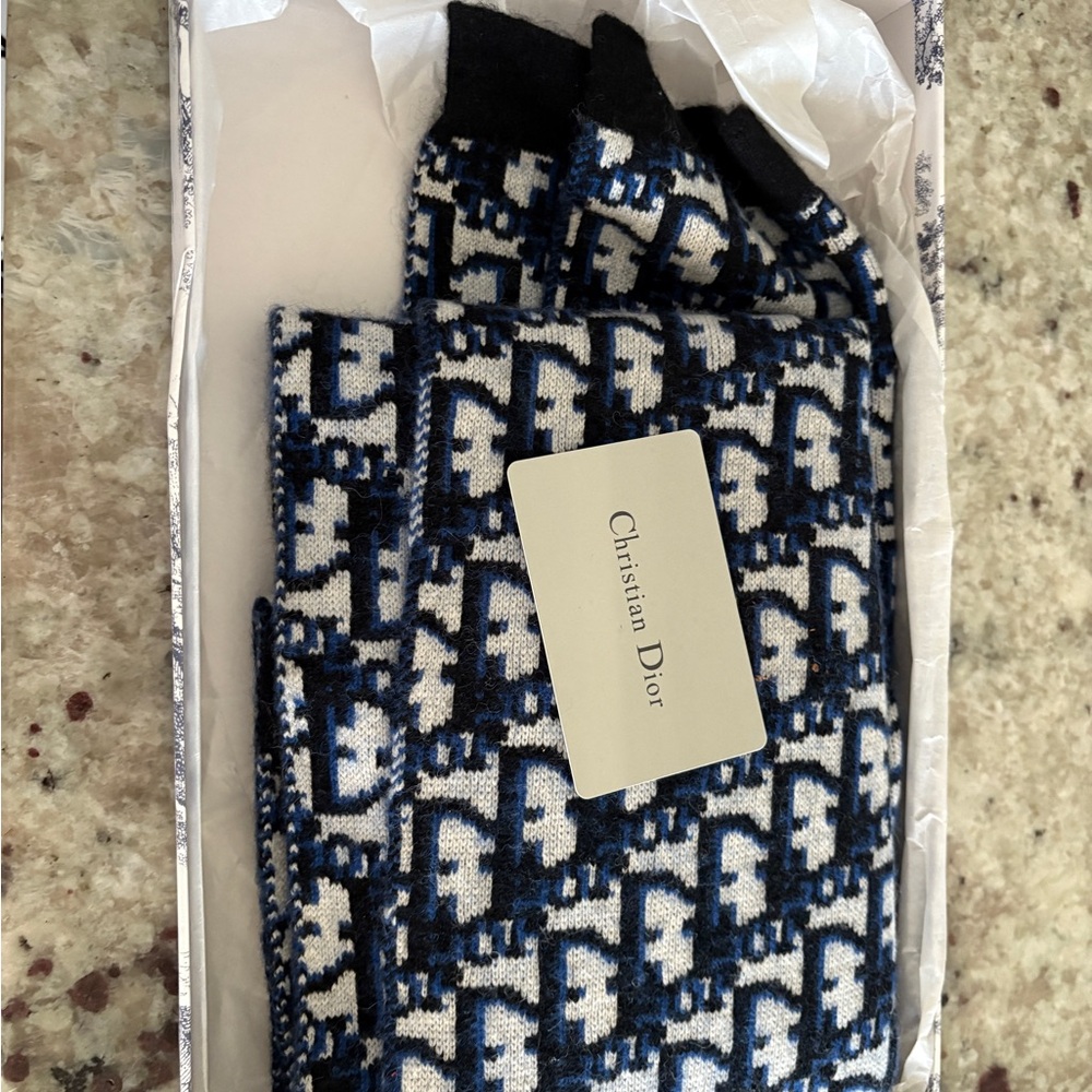 Dior Black and Blue Men's SCARF